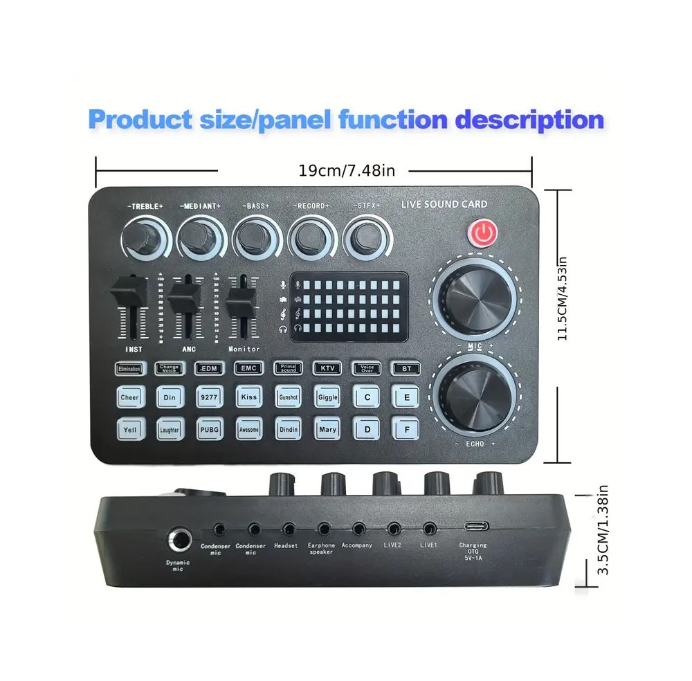 Professional Condenser Microphone V9