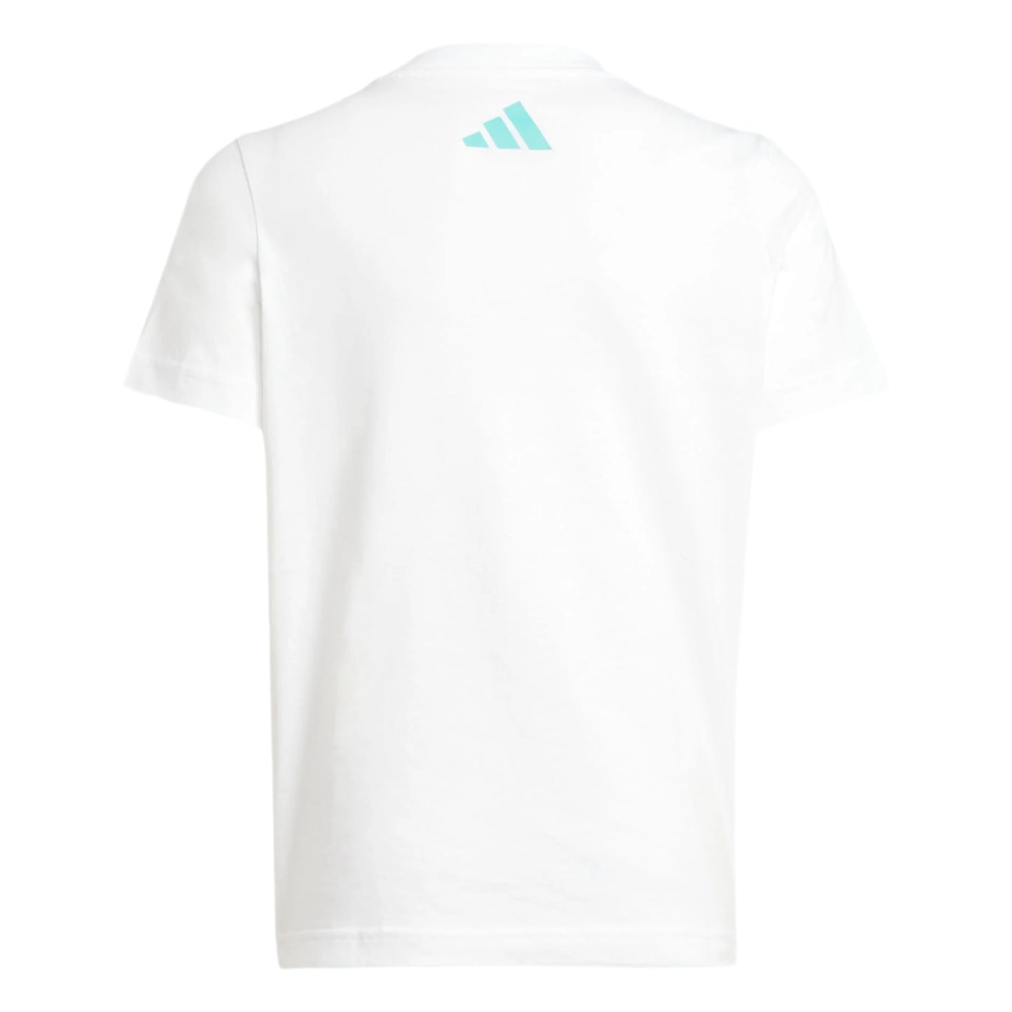 MERCEDES AMG PETRONAS FORMULA ONE TEAM DNA GRAPHIC TEE YOUTH