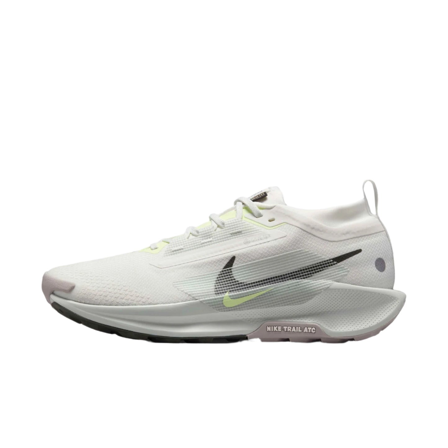 Nike Pegasus Trail 5 GORE TEX Men Shoes