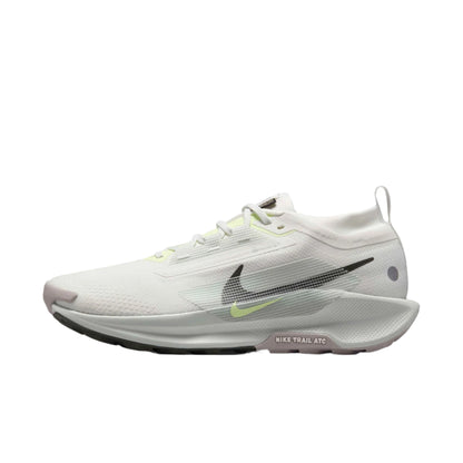 Nike Pegasus Trail 5 GORE TEX Men Shoes