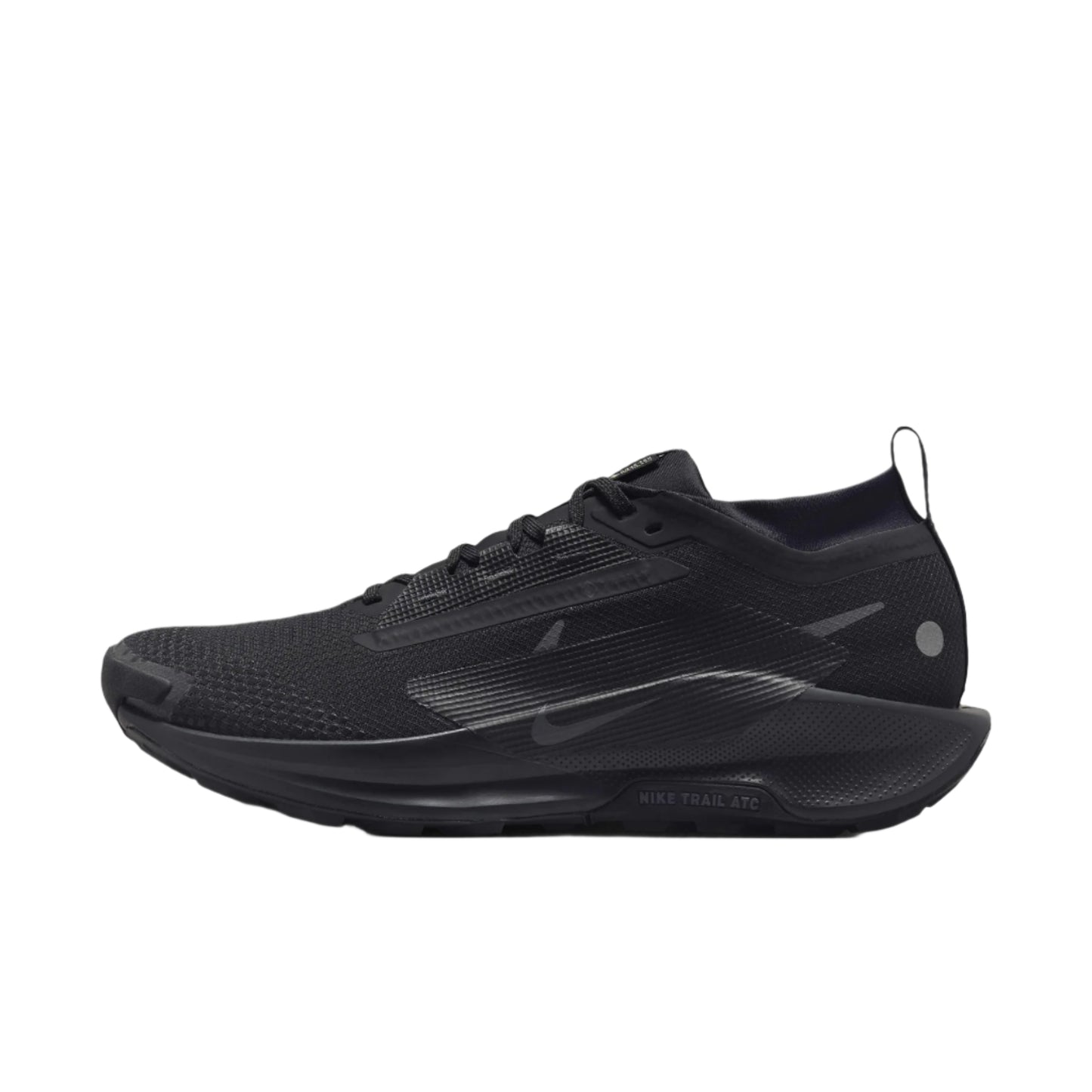 Nike Pegasus Trail 5 GORE TEX Men Shoes