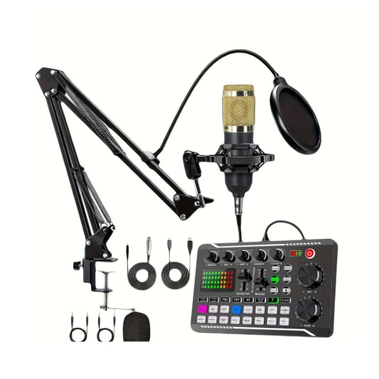 Professional Condenser Microphone V9