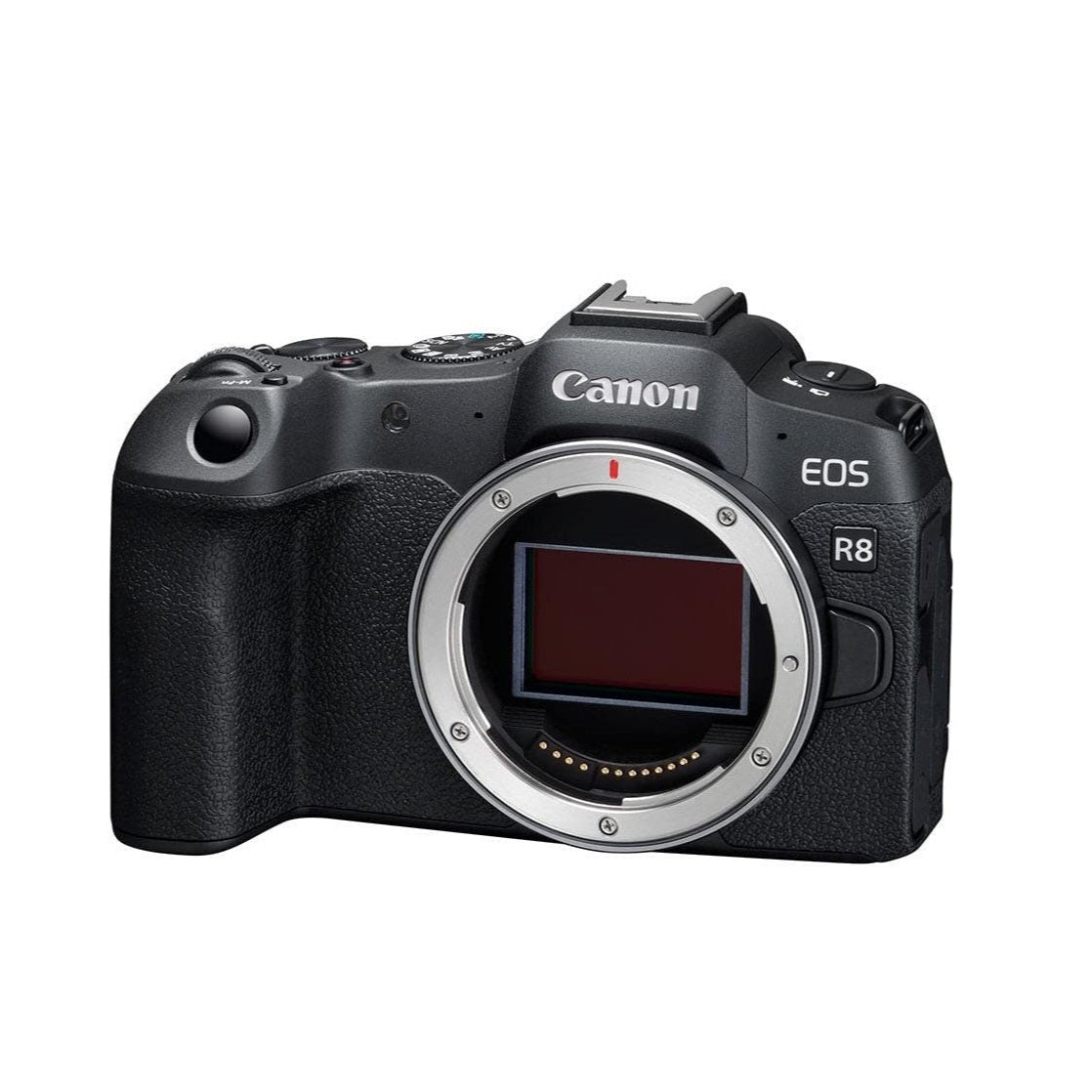 Canon EOS R8 Camera