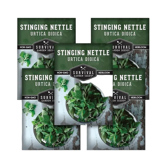 Stinging Nettle Seed for Planting 5 Packets
