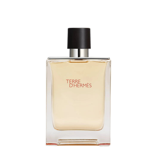 Hermes Terre D Hermes EDT Perfume for Men 100 ml