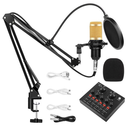 Professional Condenser Microphone V8s