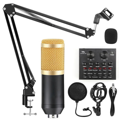 Professional Condenser Microphone V8s